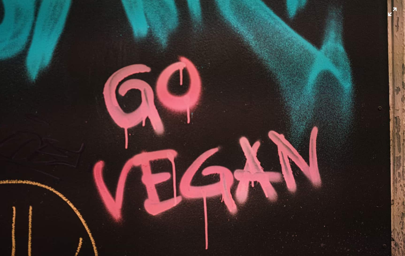 Vegan: Ein Lebensstil für Tier, Umwelt und Klima